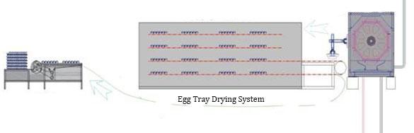 egg tray drying processes