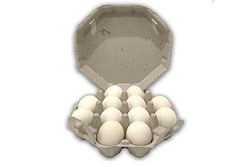 white egg carton product