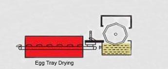 egg trays drying