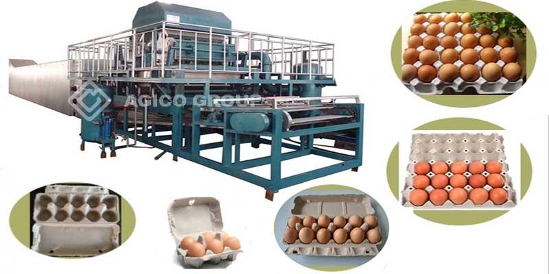 egg tray manufacturing