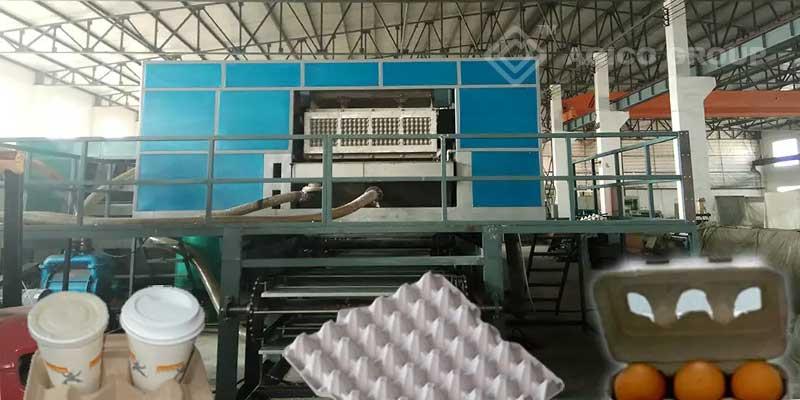 egg trays production equipment